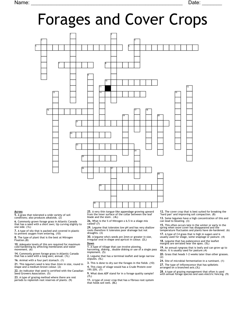 Forages And Cover Crops Crossword WordMint