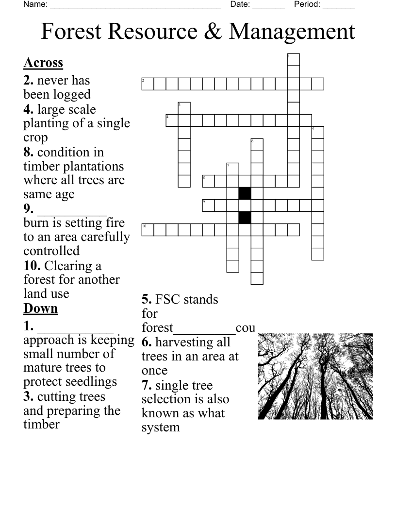 Forest Resource Management Crossword WordMint Forest Resource Management Crossword WordMint
