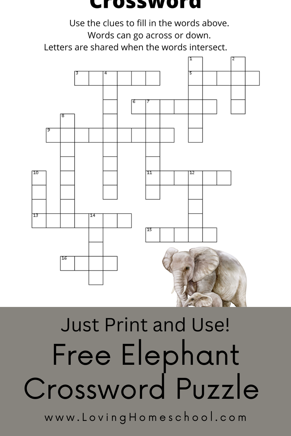 field of study crossword clue 4 letters field of study crossword clue 4 letters