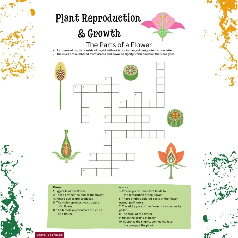 Free Flower Parts Crossword Puzzle Fun Botany Brain Teaser Free Flower Parts Crossword Puzzle Fun Botany Brain Teaser