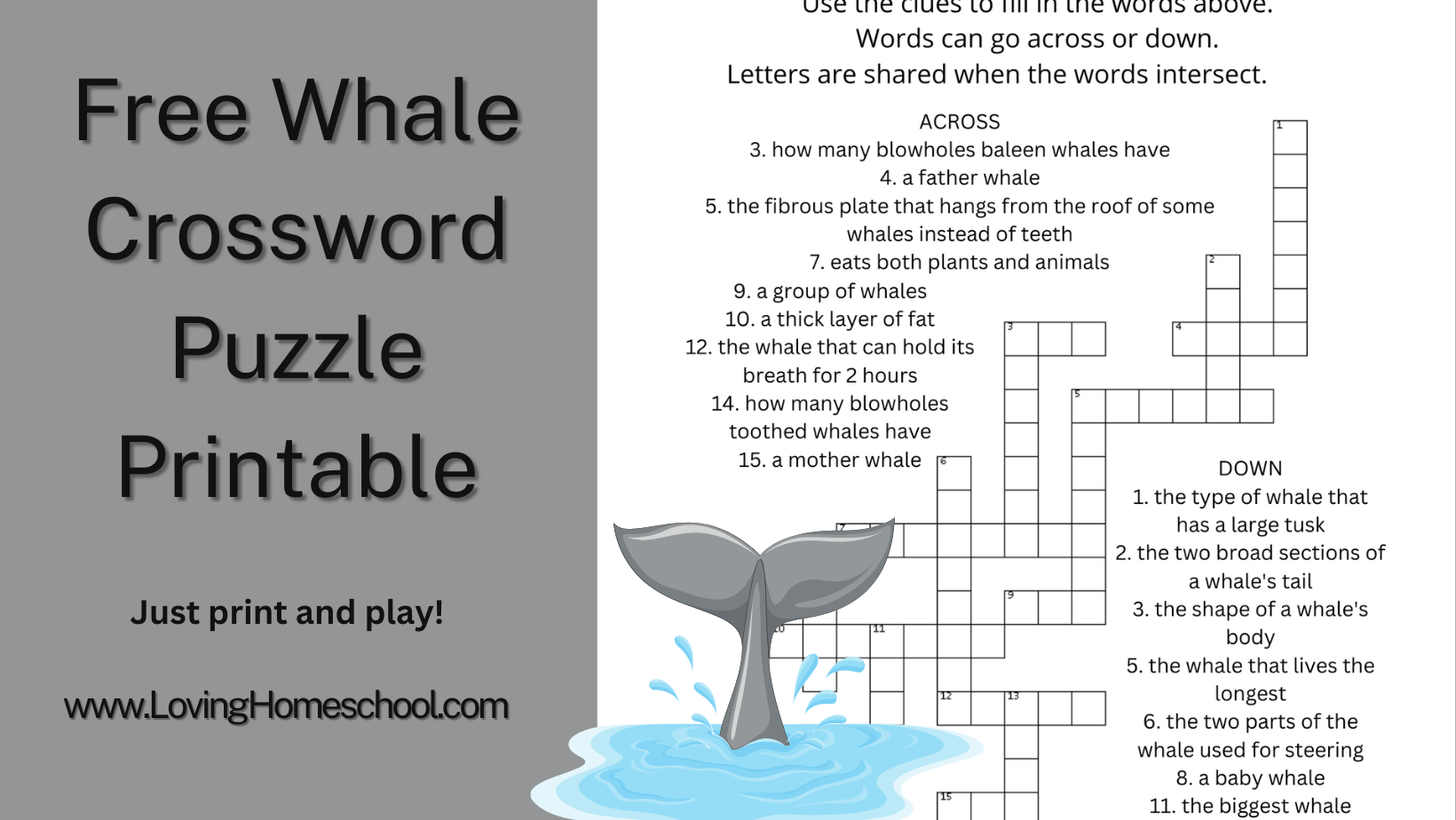 Free Whale Crossword Puzzle LovingHomeschool