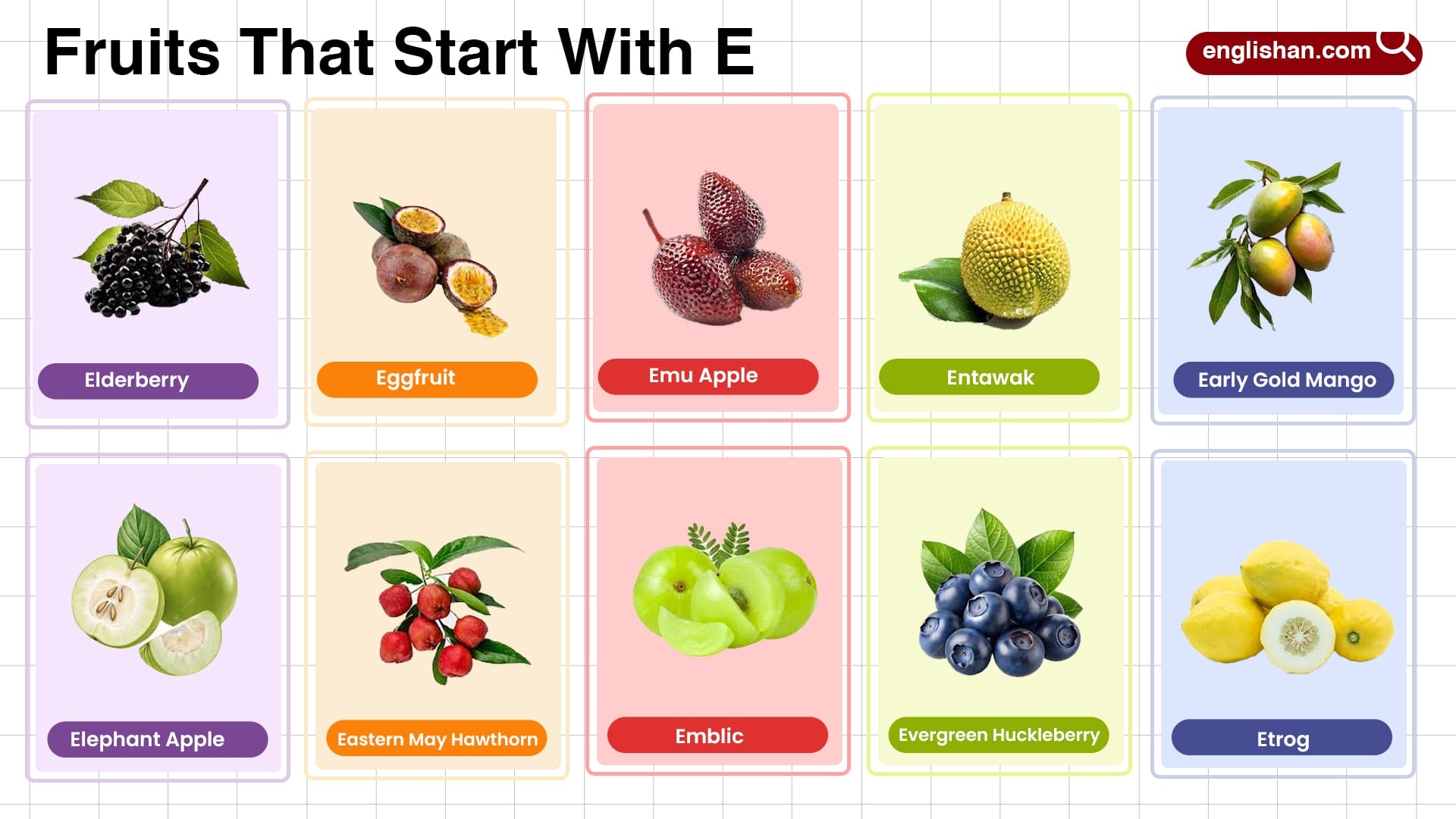 Fruits That Start With E The Ultimate Visual Guide Fruits That Start With E The Ultimate Visual Guide