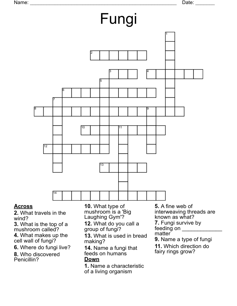 Fungi Crossword WordMint Fungi Crossword WordMint