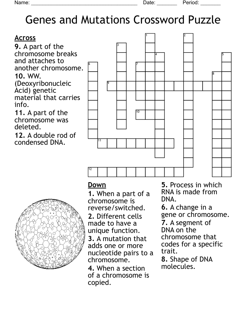 Genes And Mutations Crossword Puzzle WordMint