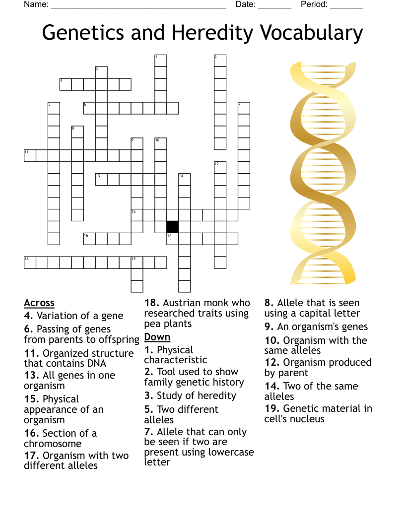 Genetics And Heredity Vocabulary Crossword WordMint