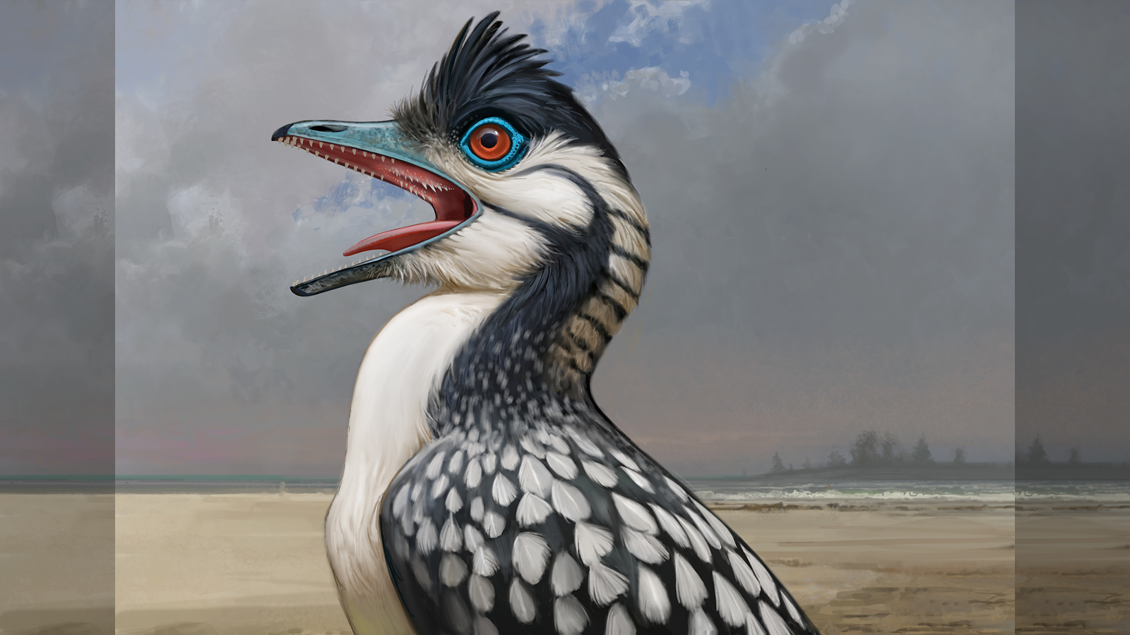 Giant Extinct Birds Grew Up Slow Live Science Giant Extinct Birds Grew Up Slow Live Science