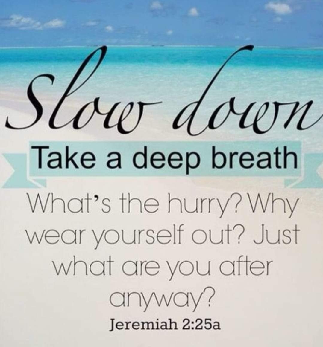 Give Me A Word Lord SLOW DOWN Inspirations From The Funny Farm Give Me A Word Lord SLOW DOWN Inspirations From The Funny Farm