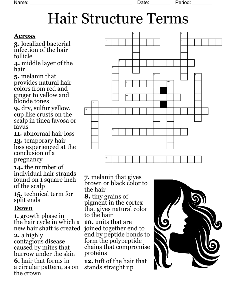Hair Theory Crossword WordMint