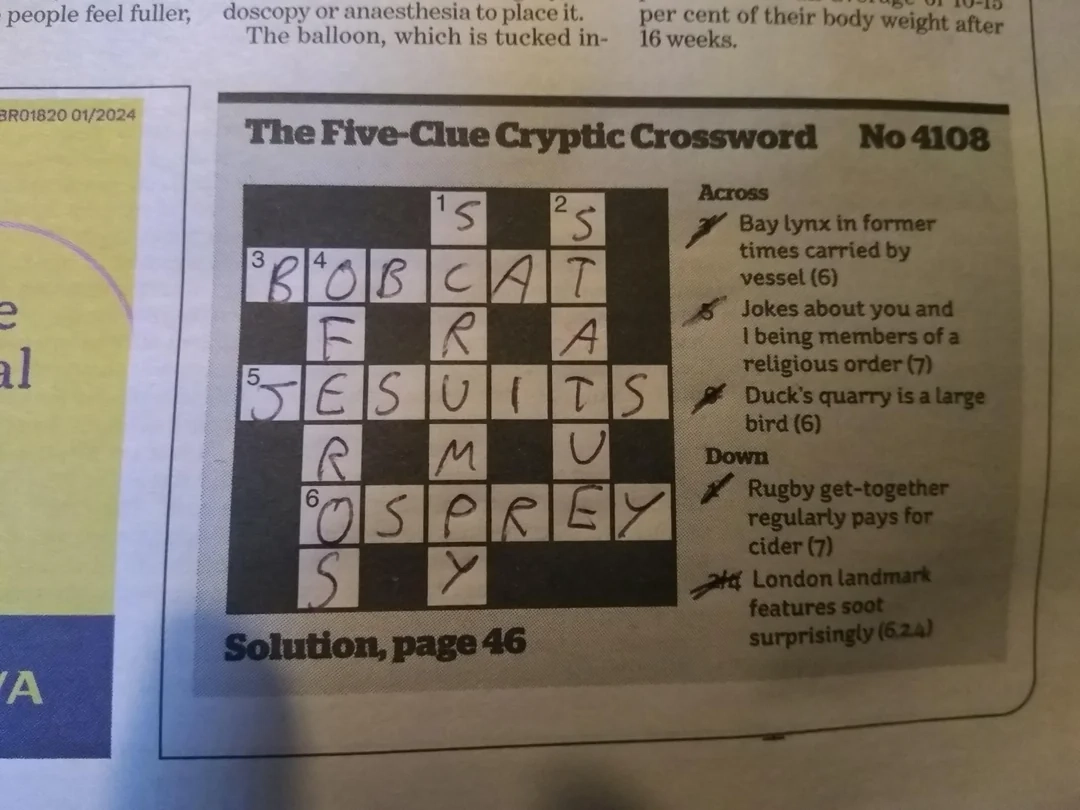 carried crossword clue 5 letters carried crossword clue 5 letters