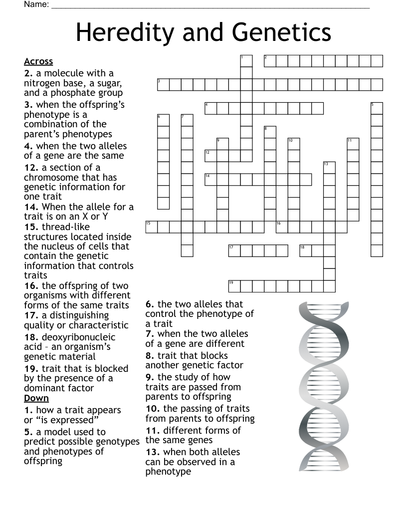Heredity And Genetics Crossword WordMint