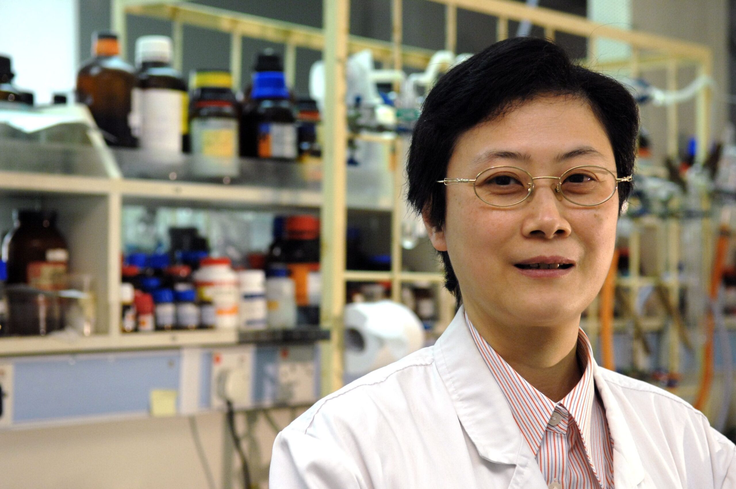 HKU Chemistry Professor Vivian Yam Honoured Ludwig Mond Award 2015 Winner All News Media HKU