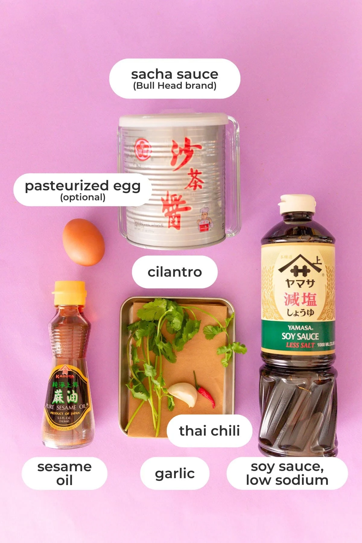 sesame paste crossword clue sesame paste crossword clue