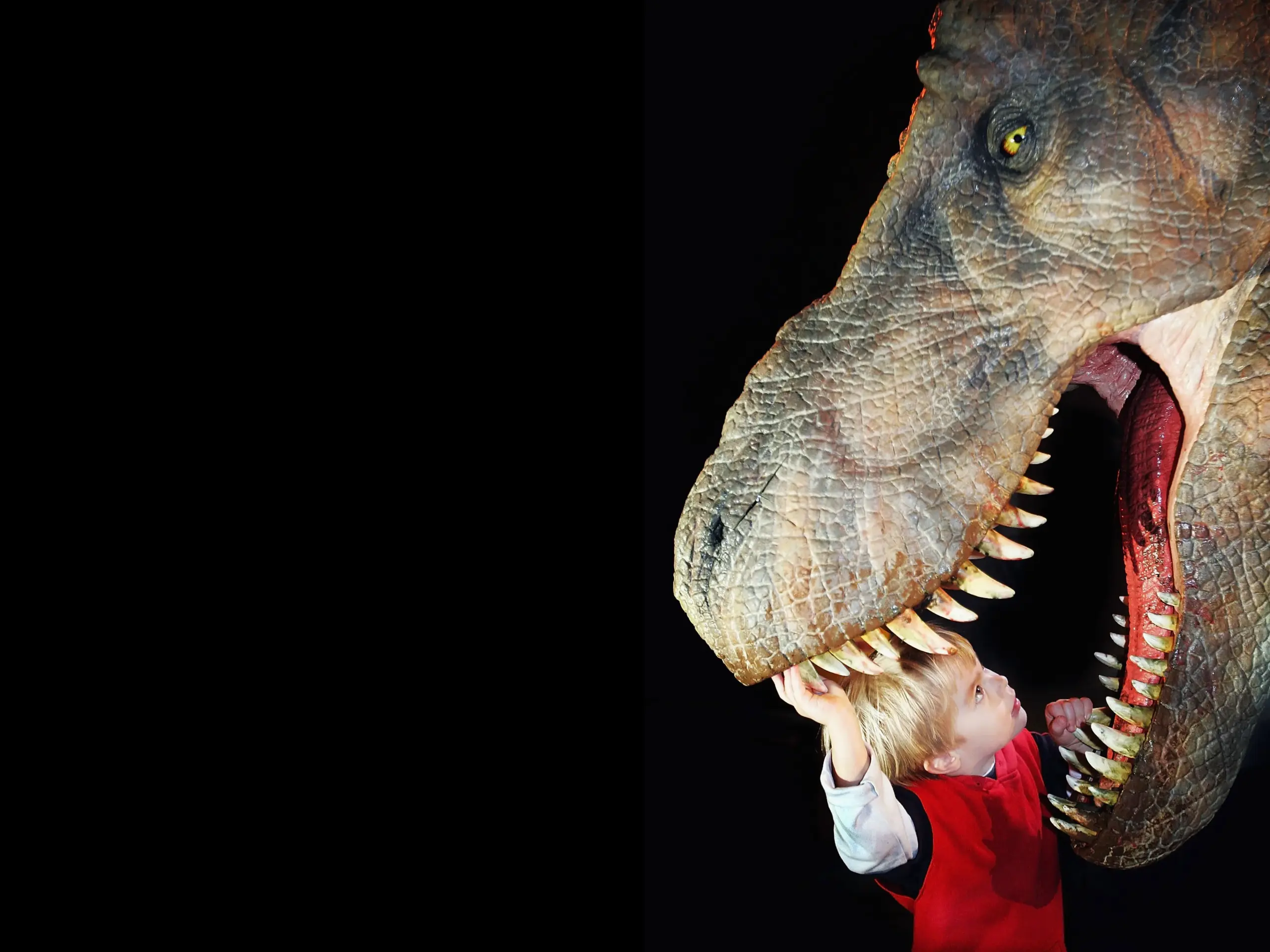 How Do You Feed A T Rex FiveThirtyEight