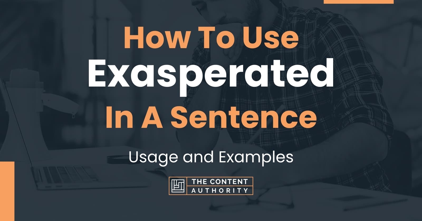 How To Use Exasperated In A Sentence Usage And Examples