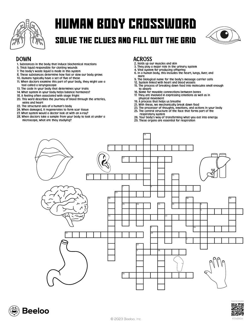 Human Body Crossword Beeloo Printable Crafts And Activities For Kids