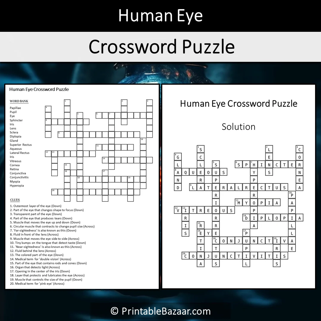 eye parts crossword puzzle clue