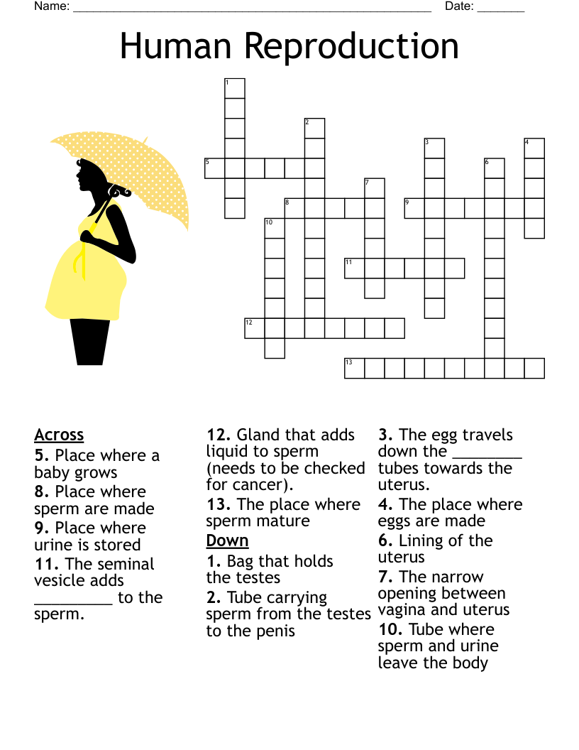 narrow opening crossword clue