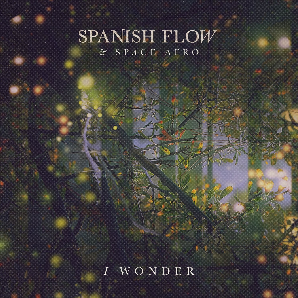 I Wonder Spanish Flow Deezer