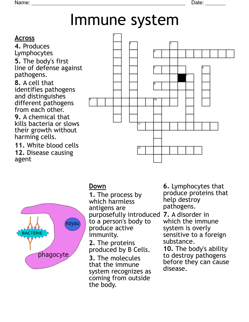 Immunology Word Search WordMint