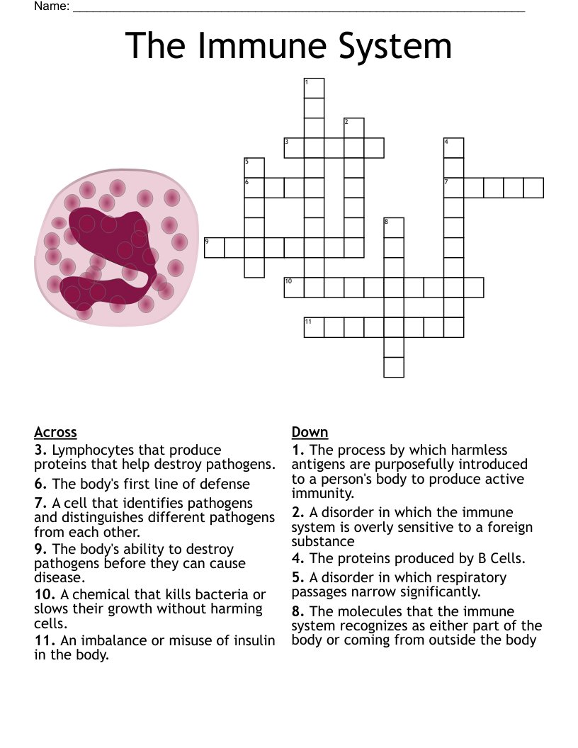 Infection And Response Crossword WordMint