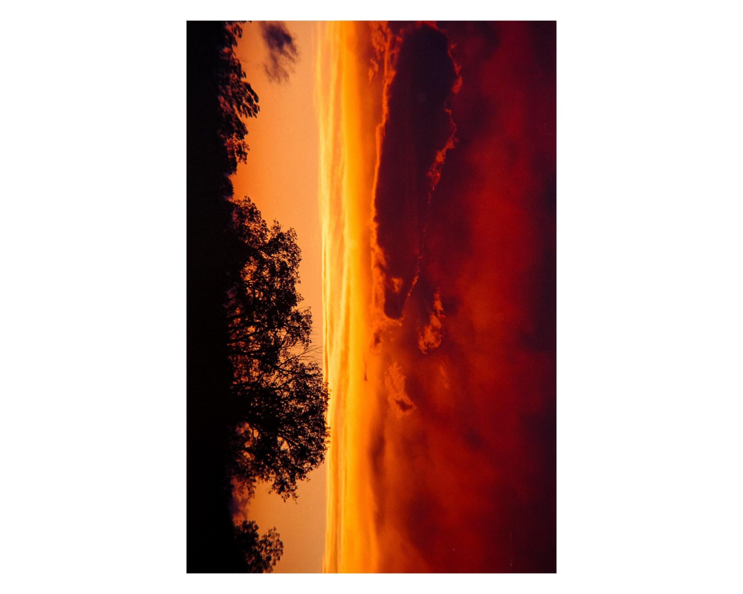 orange stutter at christmas crossword clue