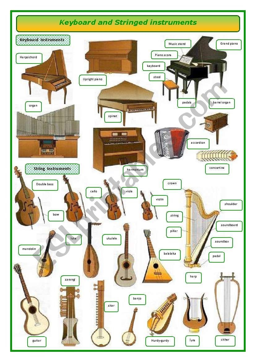 Keyboard And Stringed Musical Instruments pictionary ESL Worksheet By Oppilif Keyboard And Stringed Musical Instruments pictionary ESL Worksheet By Oppilif