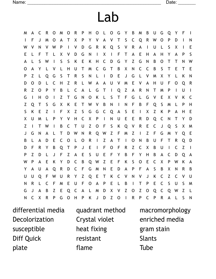 Lab Word Search WordMint