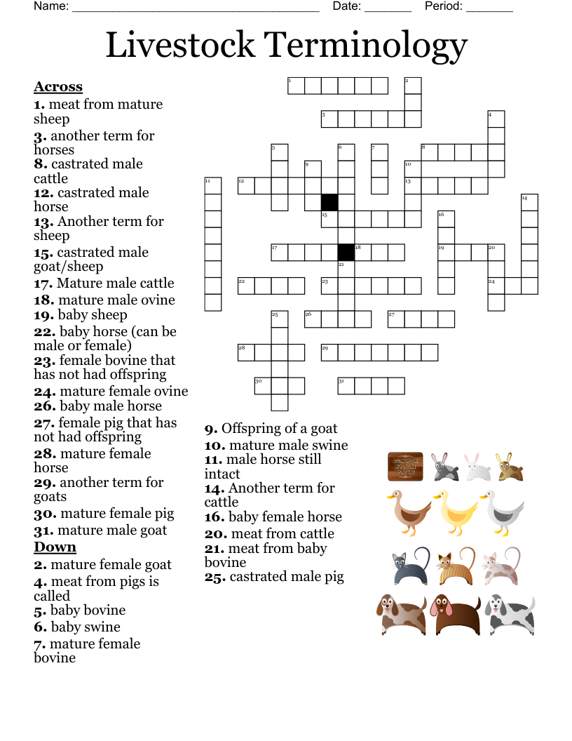 Livestock Terminology Crossword WordMint