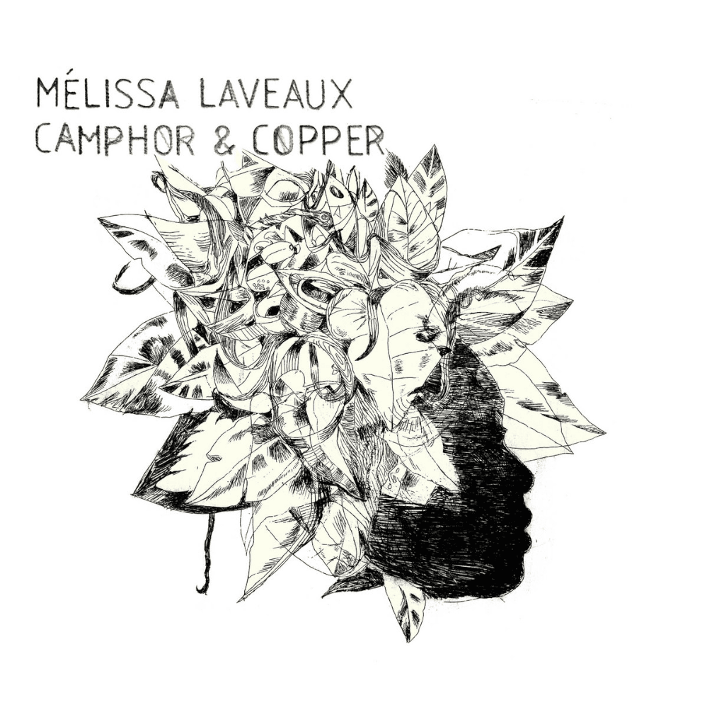 needle in hay lyrics