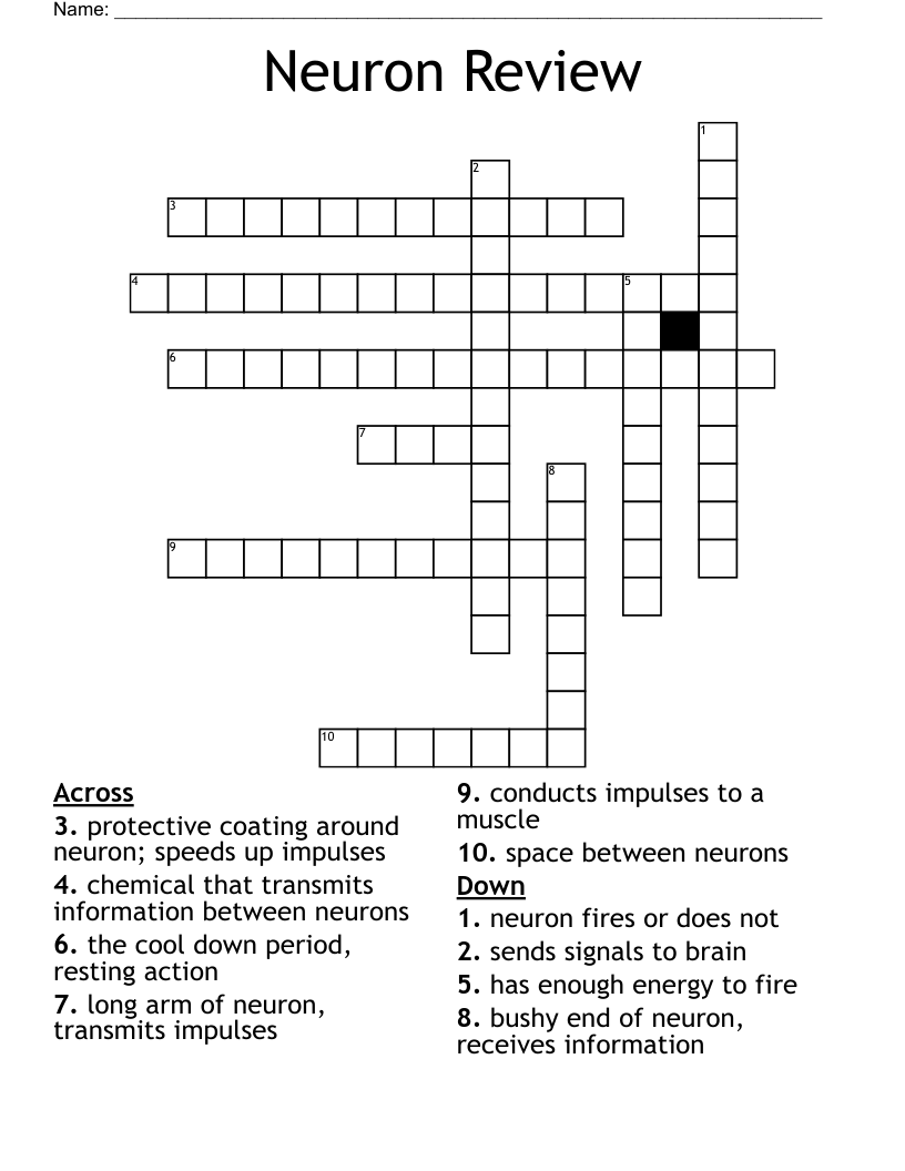 Neuron Review Crossword WordMint