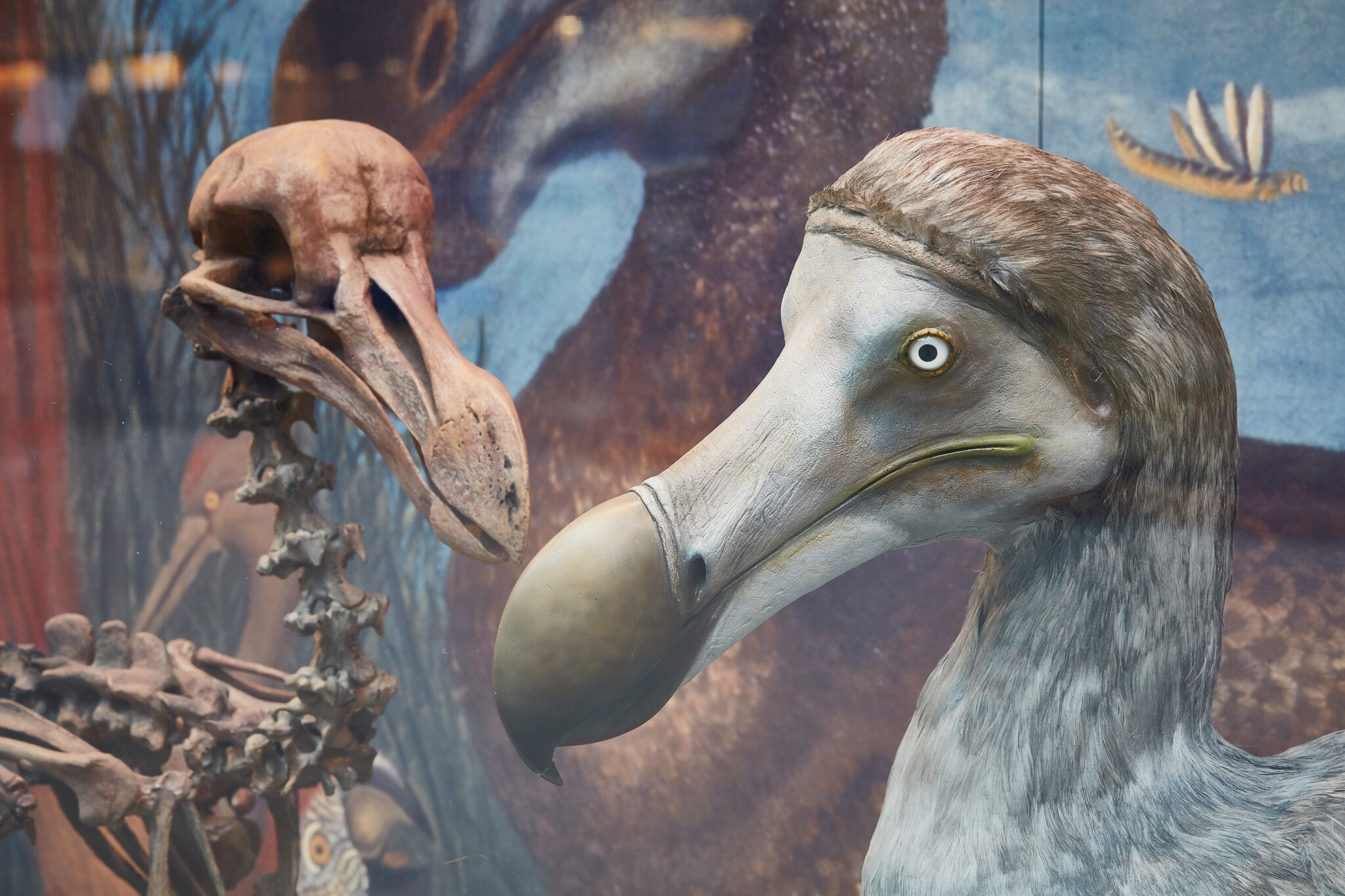 NYT Crossword Answers For August 2 2023 The New York Times