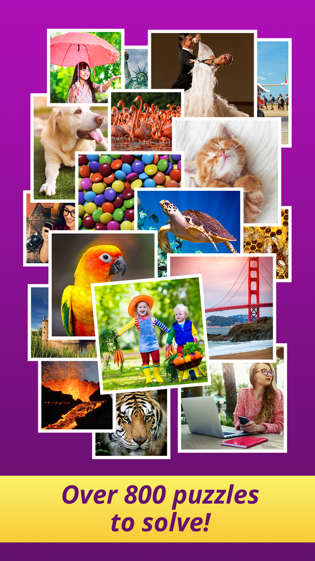 One Clue Crossword 100s Of Great Free Crosswords With Picture Clues App On Amazon Appstore