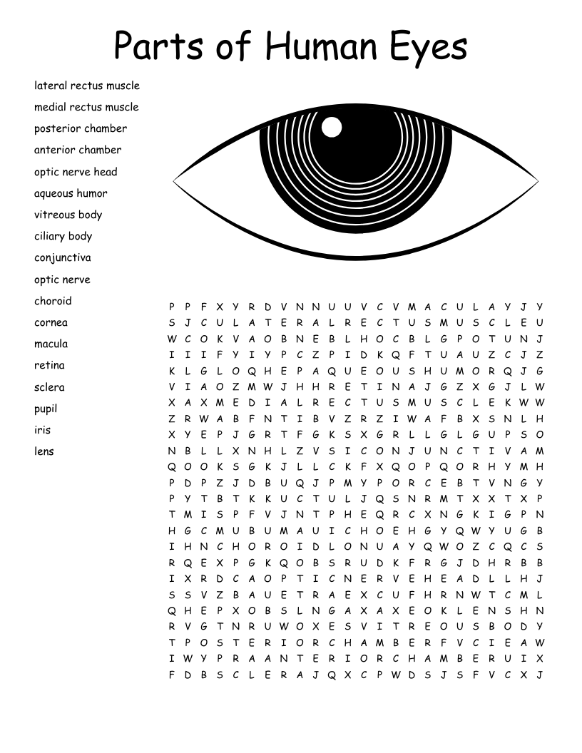 Ophthalmology Glossary Crossword Part Four WordMint