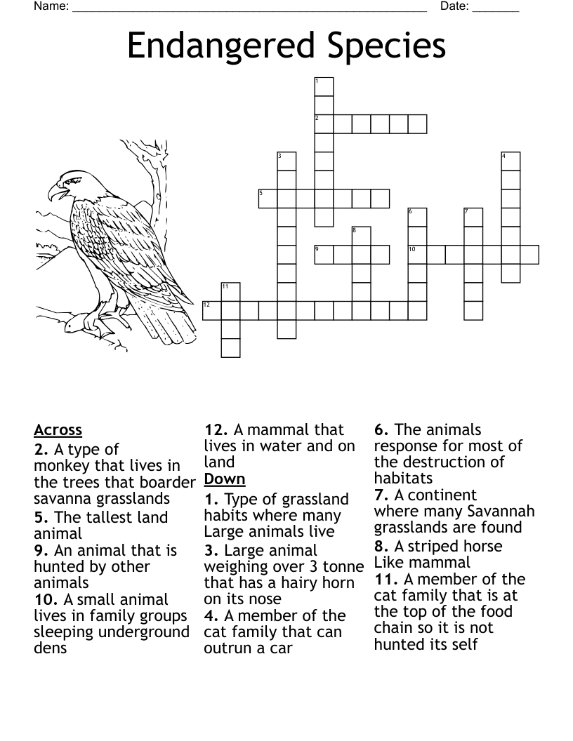 Our Wild Animals Crossword WordMint