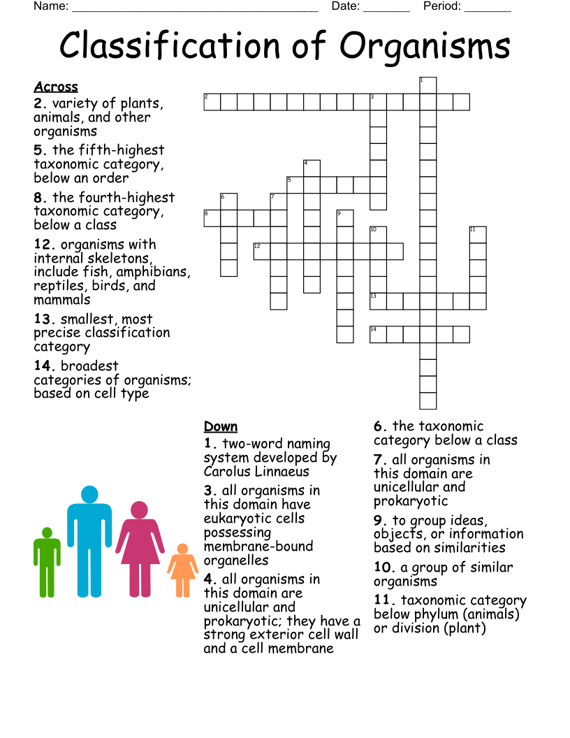 Pap Smear Crossword Puzzle WordMint