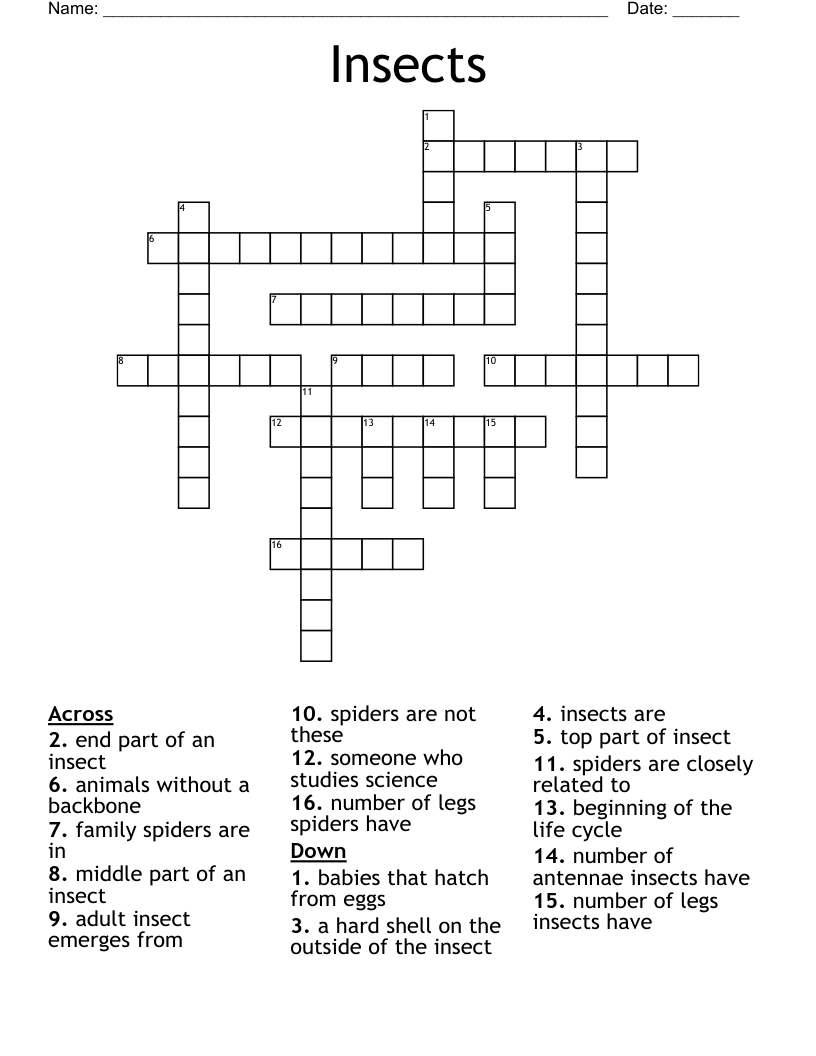 Parts Of An Insect Word Search WordMint