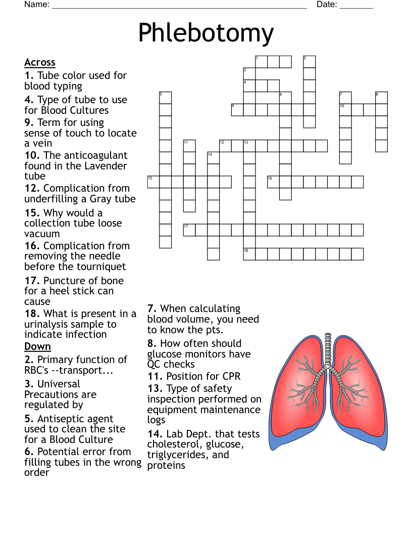 Phlebotomy Crossword WordMint Phlebotomy Crossword WordMint