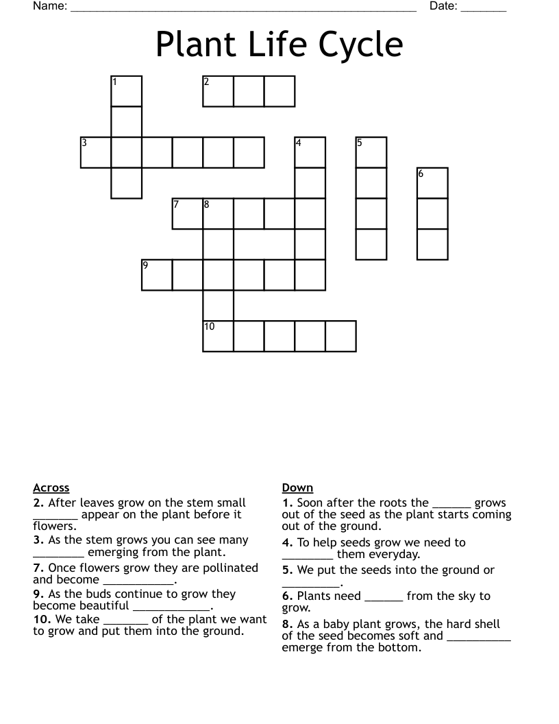 Plant Life Cycle Crossword WordMint Plant Life Cycle Crossword WordMint