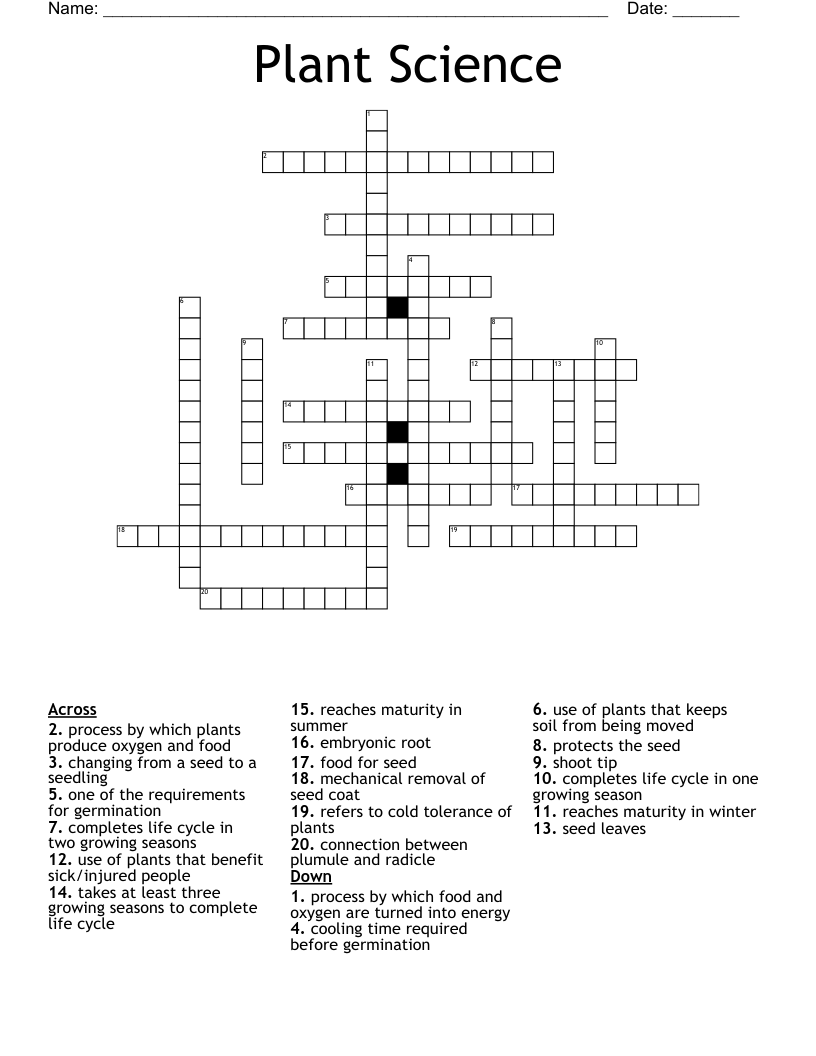 protective plastic coating crossword clue 6 letters