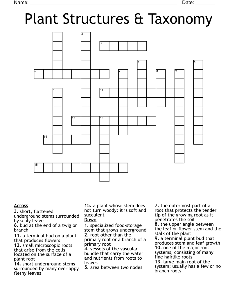 Plant Structures Taxonomy Crossword WordMint