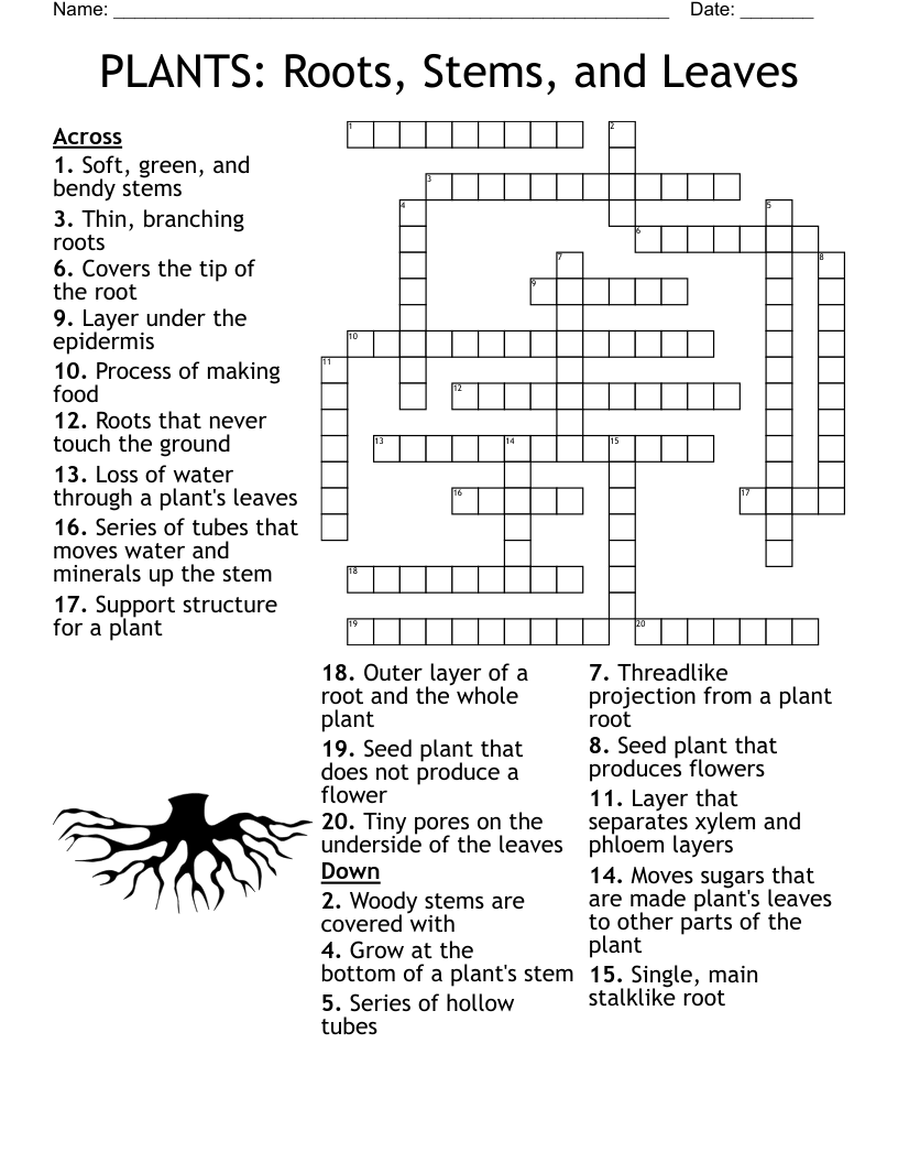 PLANTS Roots Stems And Leaves Crossword WordMint