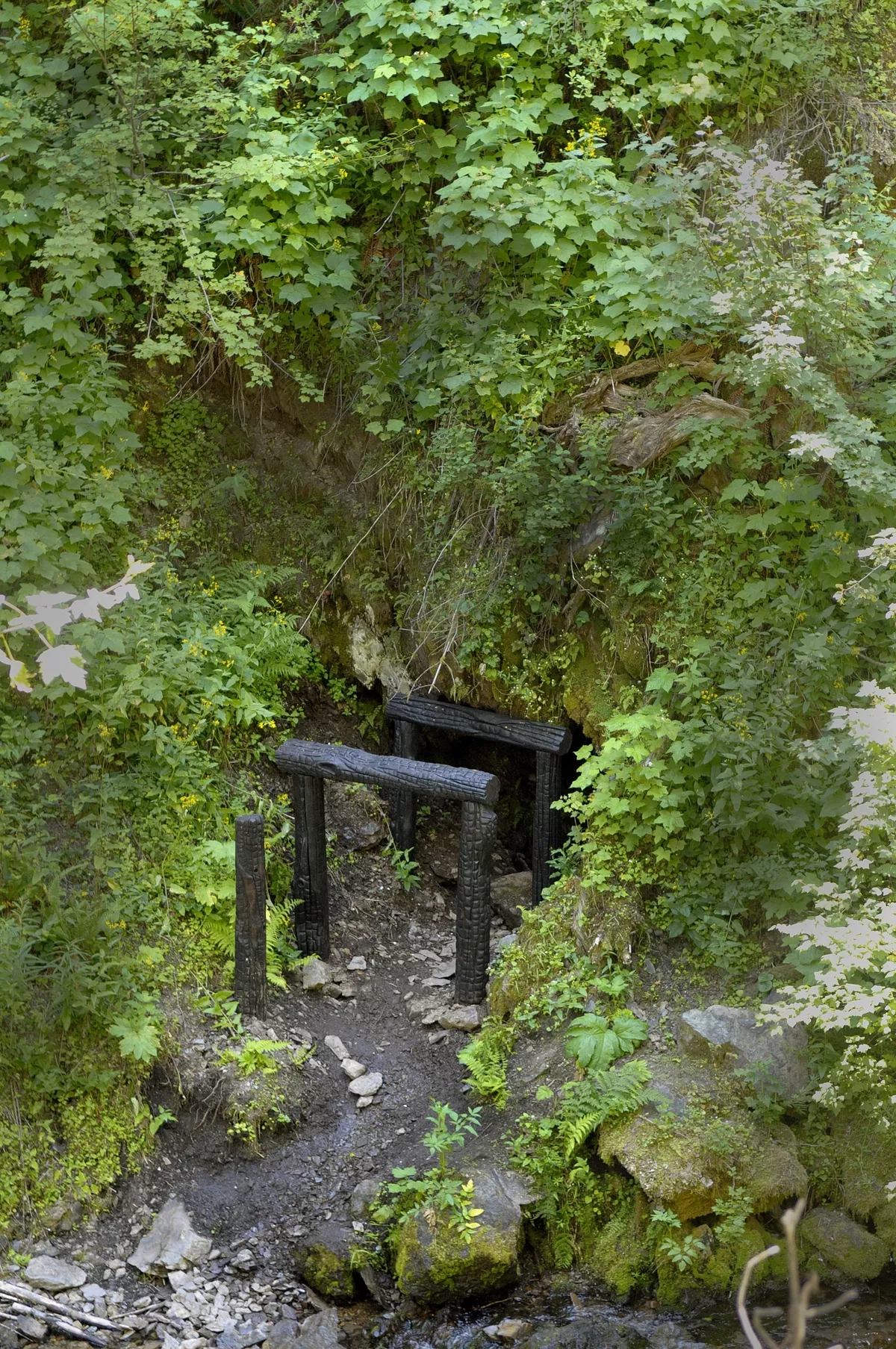 mine entrance crossword clue