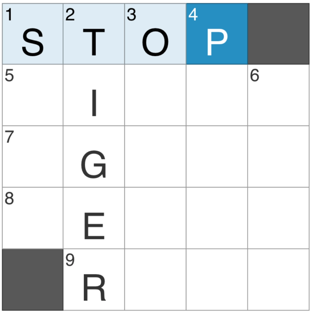 Puzzle Center Lookout Santa Cruz