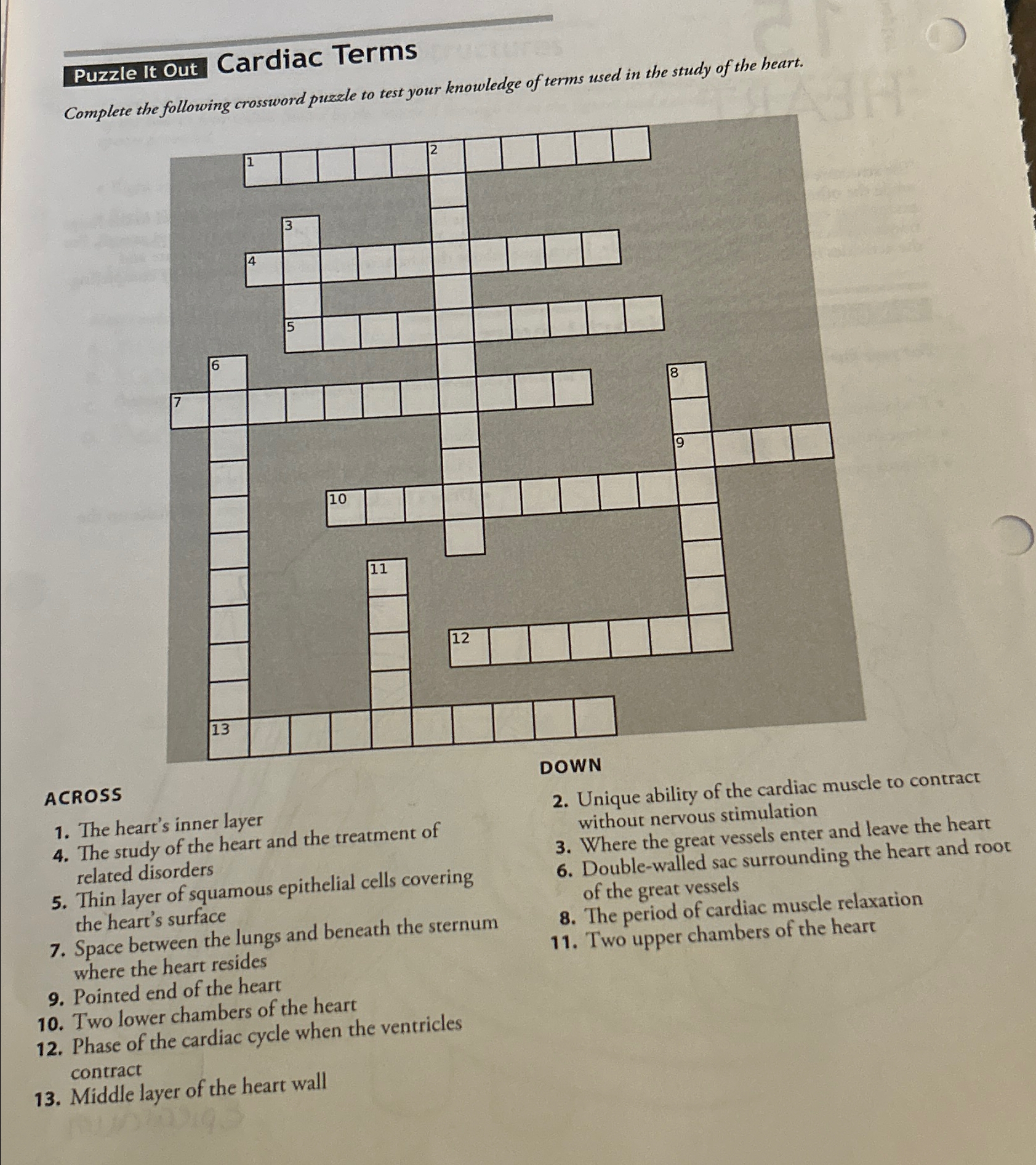 heart chambers crossword heart chambers crossword