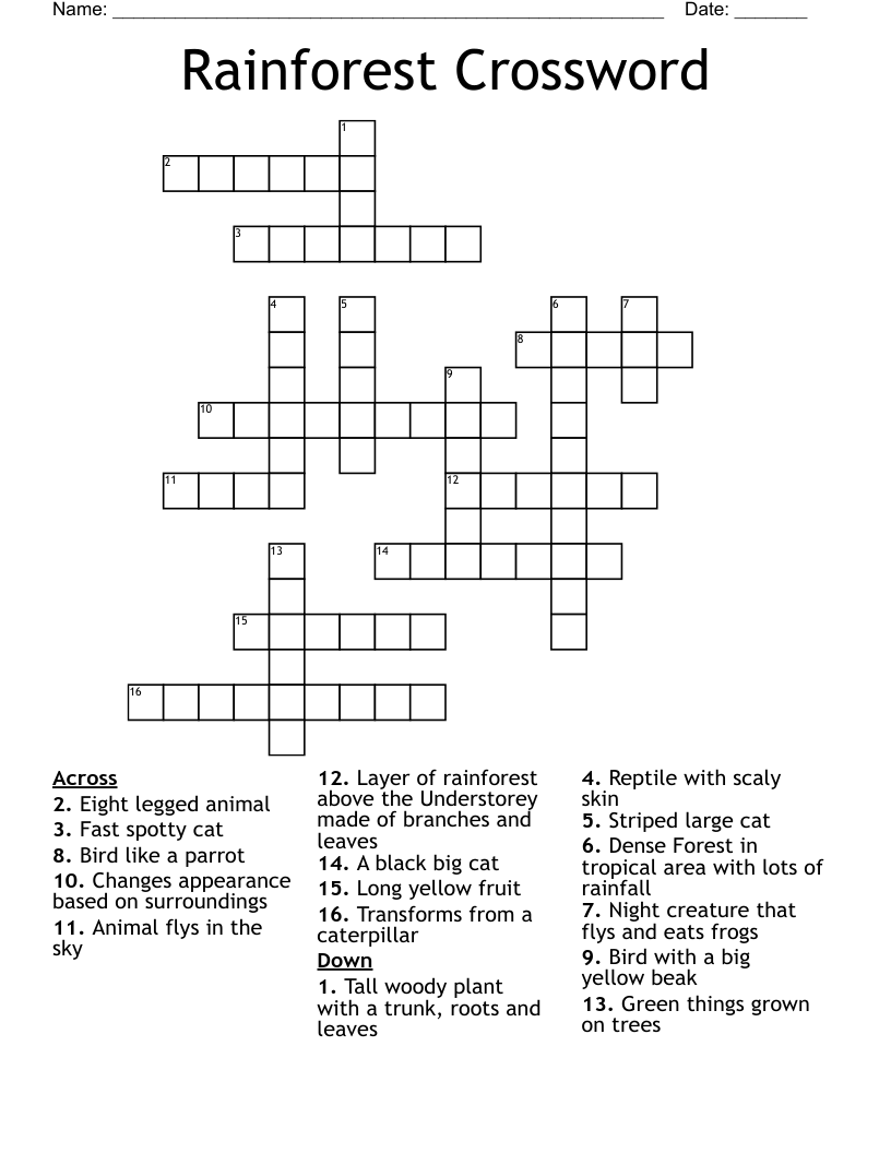 Rainforest Crossword WordMint