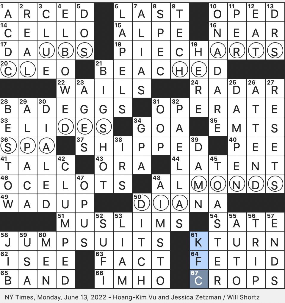 spotted crossword clue