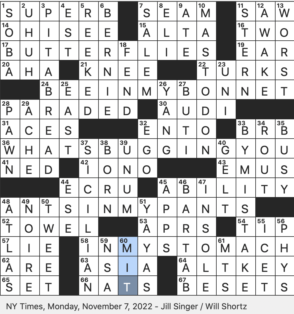 extinct bird crossword puzzle clue