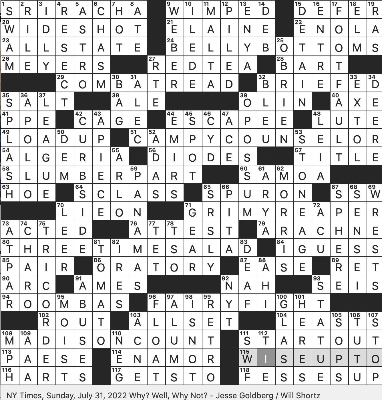 Rex Parker Does The NYT Crossword Puzzle One named Entertainer From Spain SUN 7 31 22 Killer Of The Night King On Game Of Thrones Author Journalist Welteroth Condiment At A