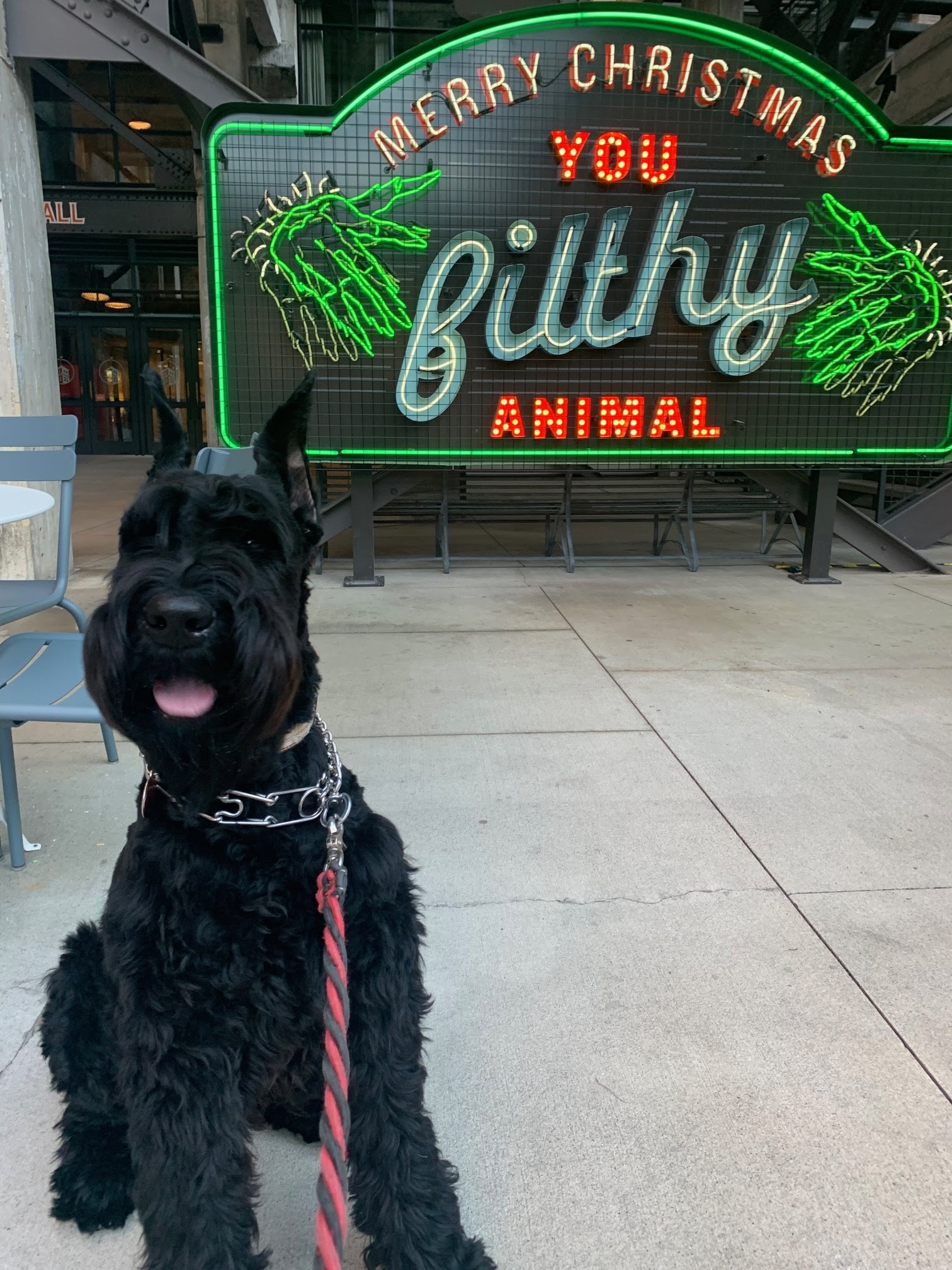 polynesian drink with psychoactive effects
