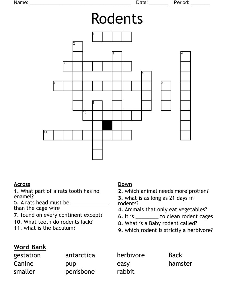 Rodents Crossword WordMint